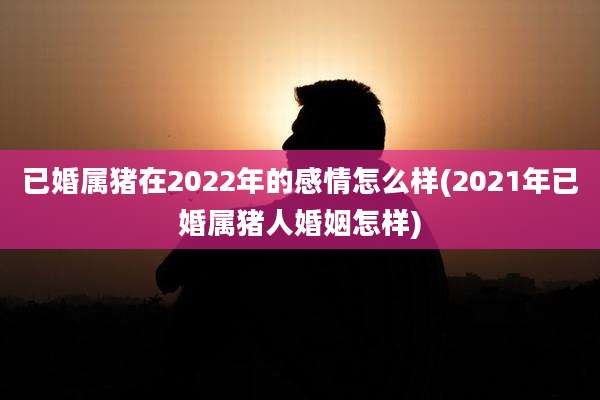 已婚属猪在2022年的感情怎么样(2021年已婚属猪人婚姻怎样)