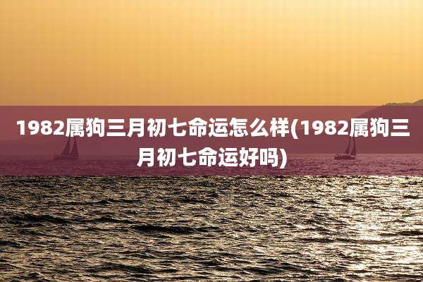 1982属狗三月初七命运怎么样(1982属狗三月初七命运好吗)