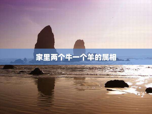 家里两个牛一个羊的属相