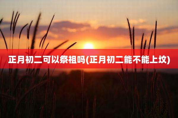 正月初二可以祭祖吗(正月初二能不能上坟)