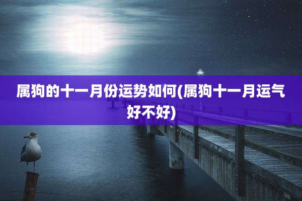 属狗的十一月份运势如何(属狗十一月运气好不好)
