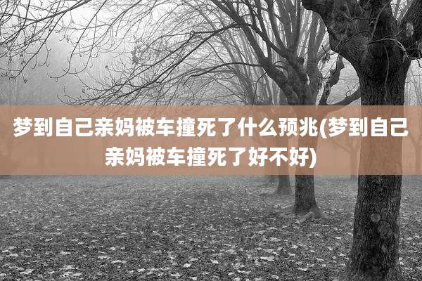 梦到自己亲妈被车撞死了什么预兆(梦到自己亲妈被车撞死了好不好)