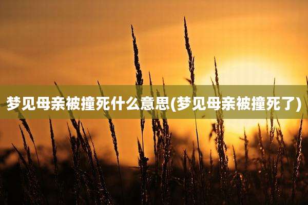 梦见母亲被撞死什么意思(梦见母亲被撞死了)