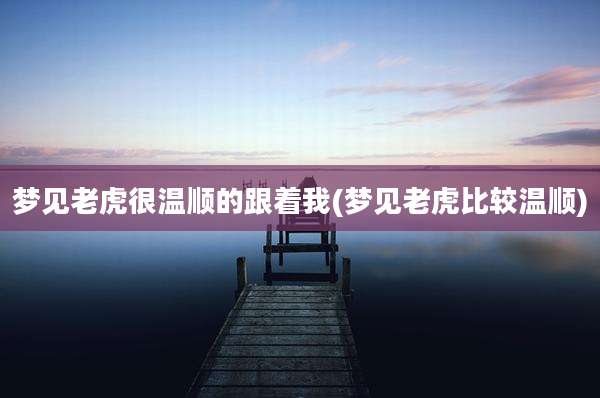 梦见老虎很温顺的跟着我(梦见老虎比较温顺)