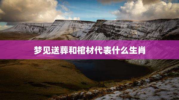梦见送葬和棺材代表什么生肖