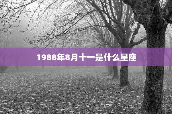 1988年8月十一是什么星座