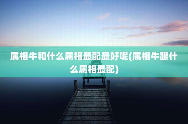 属相牛和什么属相最配最好呢(属相牛跟什么属相最配)