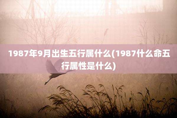 1987年9月出生五行属什么(1987什么命五行属性是什么)