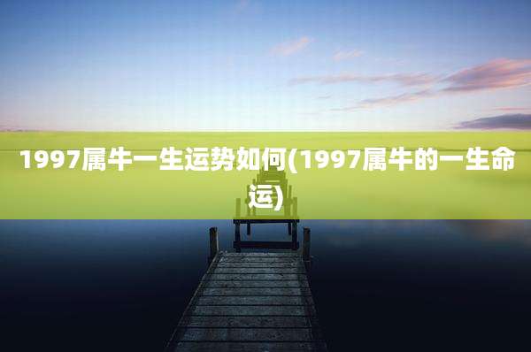 1997属牛一生运势如何(1997属牛的一生命运)