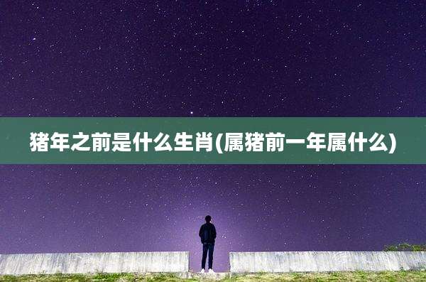 猪年之前是什么生肖(属猪前一年属什么)