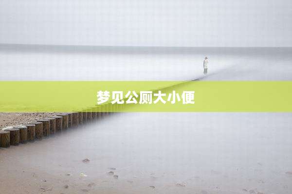 梦见公厕大小便