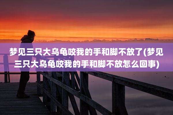 梦见三只大乌龟咬我的手和脚不放了(梦见三只大乌龟咬我的手和脚不放怎么回事)