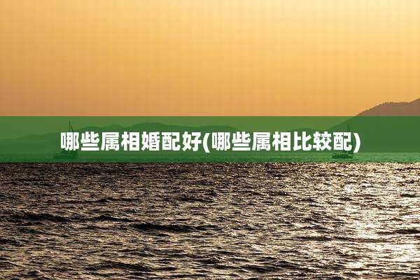 哪些属相婚配好(哪些属相比较配)