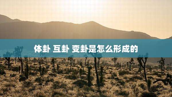 体卦 互卦 变卦是怎么形成的