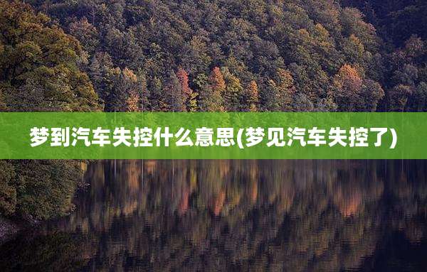 梦到汽车失控什么意思(梦见汽车失控了)