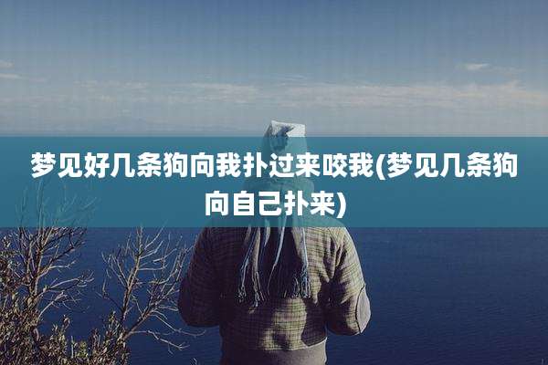 梦见好几条狗向我扑过来咬我(梦见几条狗向自己扑来)