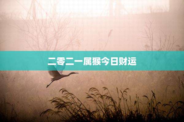 二零二一属猴今日财运