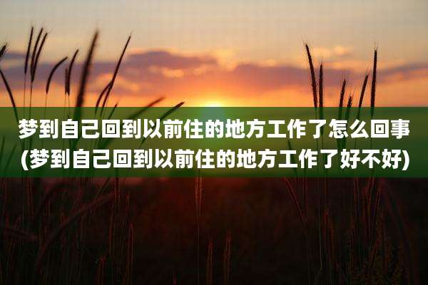 梦到自己回到以前住的地方工作了怎么回事(梦到自己回到以前住的地方工作了好不好)
