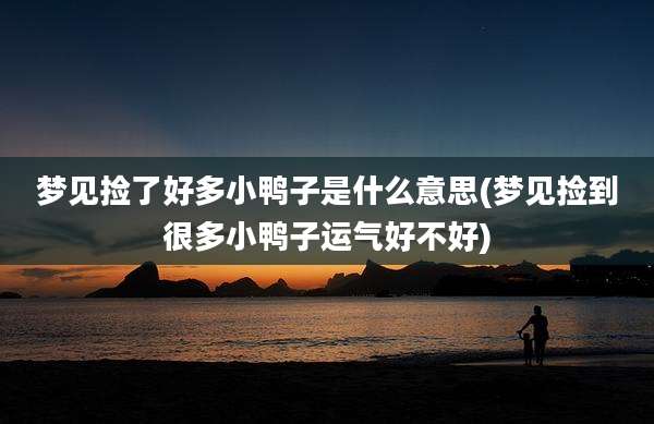 梦见捡了好多小鸭子是什么意思(梦见捡到很多小鸭子运气好不好)