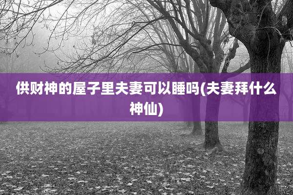 供财神的屋子里夫妻可以睡吗(夫妻拜什么神仙)