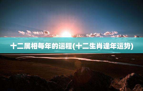 十二属相每年的运程(十二生肖逢年运势)