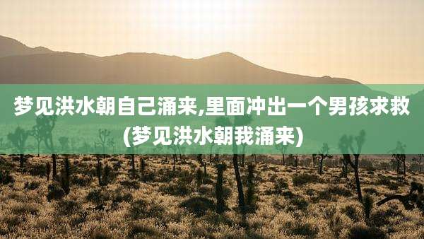 梦见洪水朝自己涌来,里面冲出一个男孩求救(梦见洪水朝我涌来)