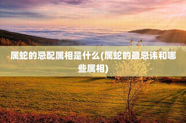 属蛇的忌配属相是什么(属蛇的最忌讳和哪些属相)