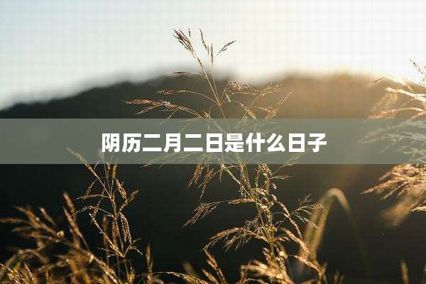 阴历二月二日是什么日子