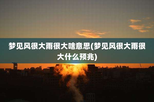梦见风很大雨很大啥意思(梦见风很大雨很大什么预兆)