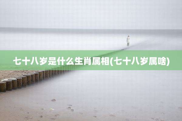 七十八岁是什么生肖属相(七十八岁属啥)