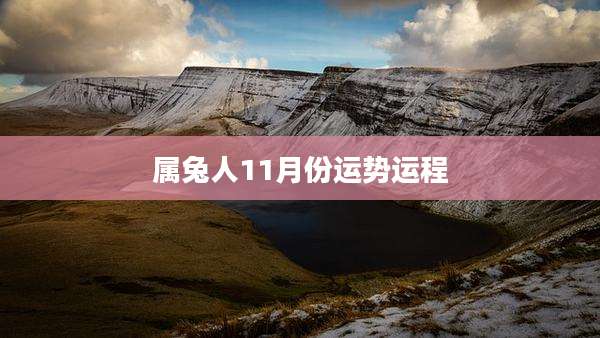 属兔人11月份运势运程