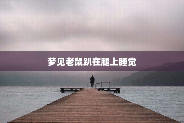 梦见老鼠趴在腿上睡觉