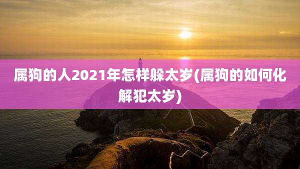 属狗的人2021年怎样躲太岁(属狗的如何化解犯太岁)