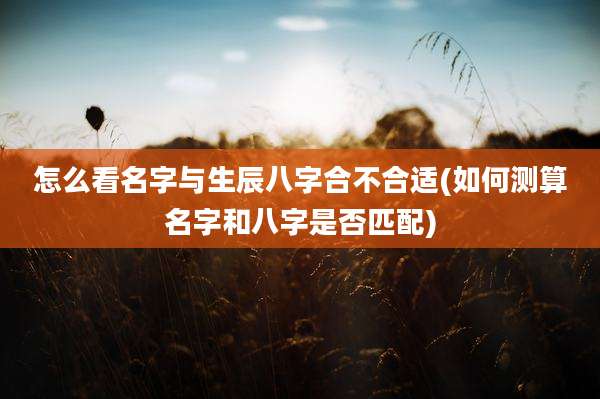 怎么看名字与生辰八字合不合适(如何测算名字和八字是否匹配)