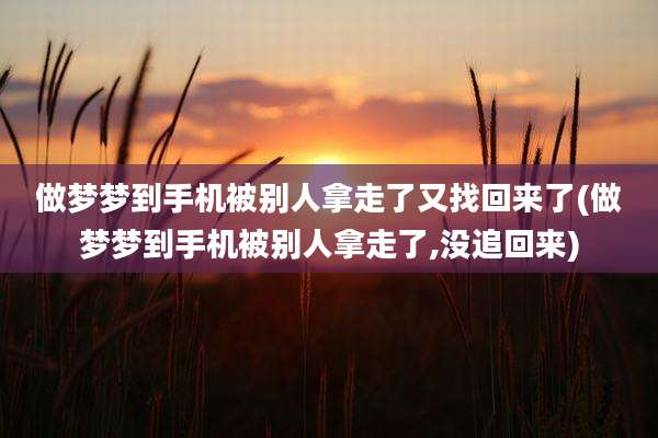 做梦梦到手机被别人拿走了又找回来了(做梦梦到手机被别人拿走了,没追回来)