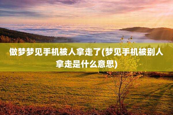 做梦梦见手机被人拿走了(梦见手机被别人拿走是什么意思)