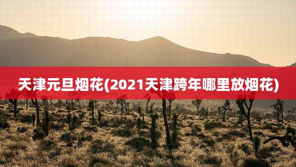 天津元旦烟花(2021天津跨年哪里放烟花)
