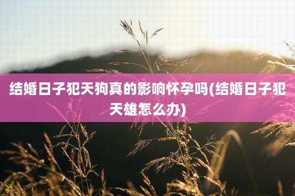 结婚日子犯天狗真的影响怀孕吗(结婚日子犯天雄怎么办)