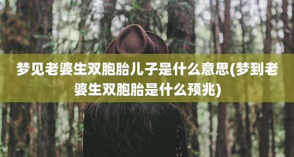 梦见老婆生双胞胎儿子是什么意思(梦到老婆生双胞胎是什么预兆)