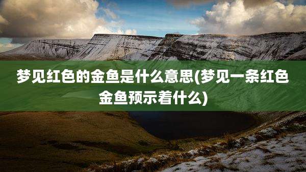 梦见红色的金鱼是什么意思(梦见一条红色金鱼预示着什么)