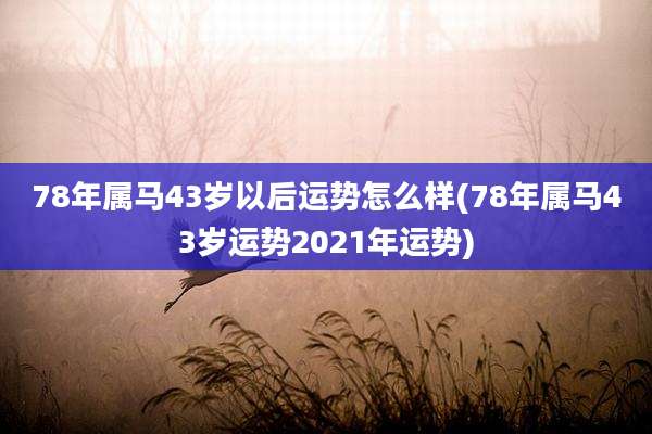 78年属马43岁以后运势怎么样(78年属马43岁运势2021年运势)