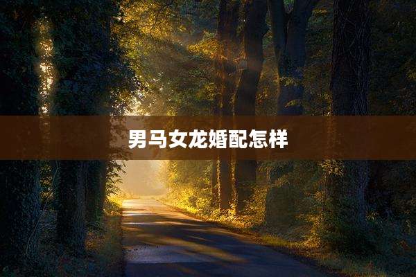 男马女龙婚配怎样