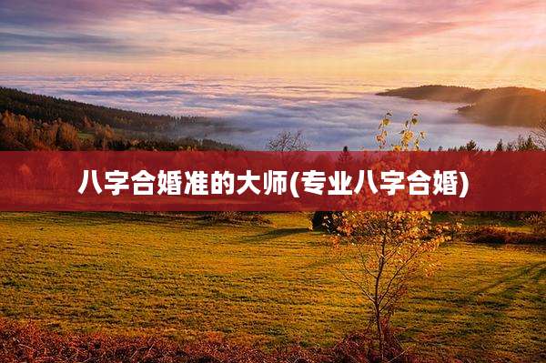 八字合婚准的大师(专业八字合婚)