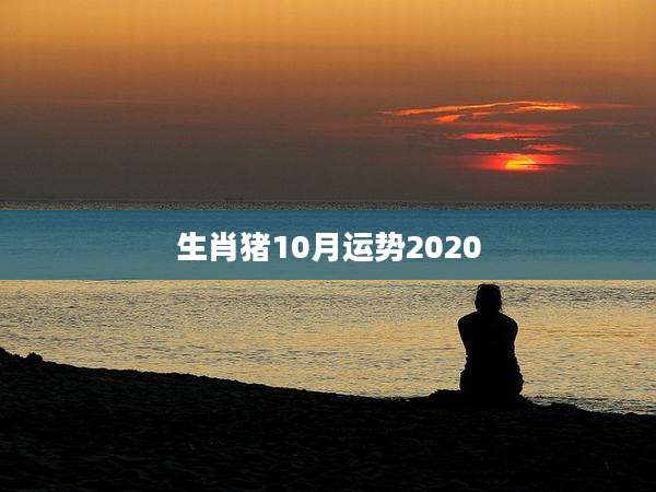 生肖猪10月运势2020