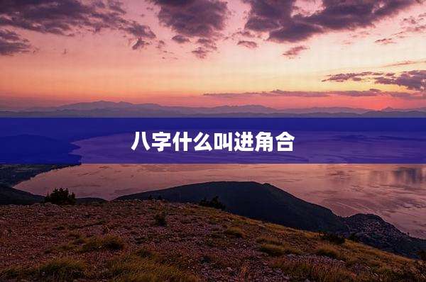 八字什么叫进角合
