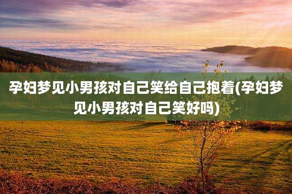 孕妇梦见小男孩对自己笑给自己抱着(孕妇梦见小男孩对自己笑好吗)