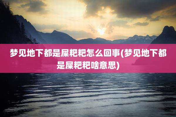 梦见地下都是屎粑粑怎么回事(梦见地下都是屎粑粑啥意思)