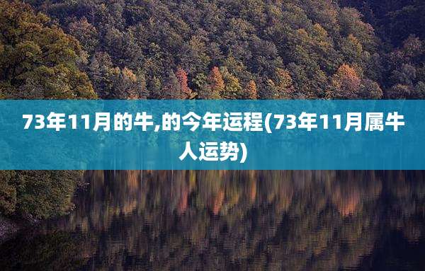 73年11月的牛,的今年运程(73年11月属牛人运势)