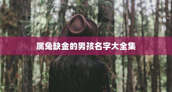 属兔缺金的男孩名字大全集
