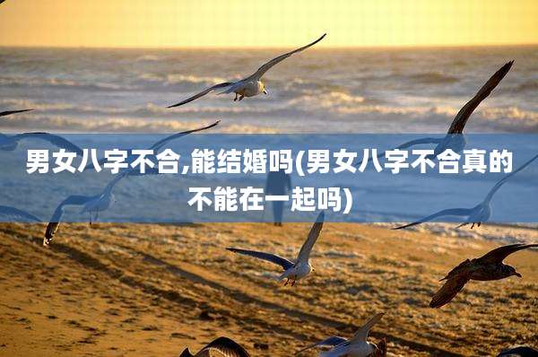 男女八字不合,能结婚吗(男女八字不合真的不能在一起吗)